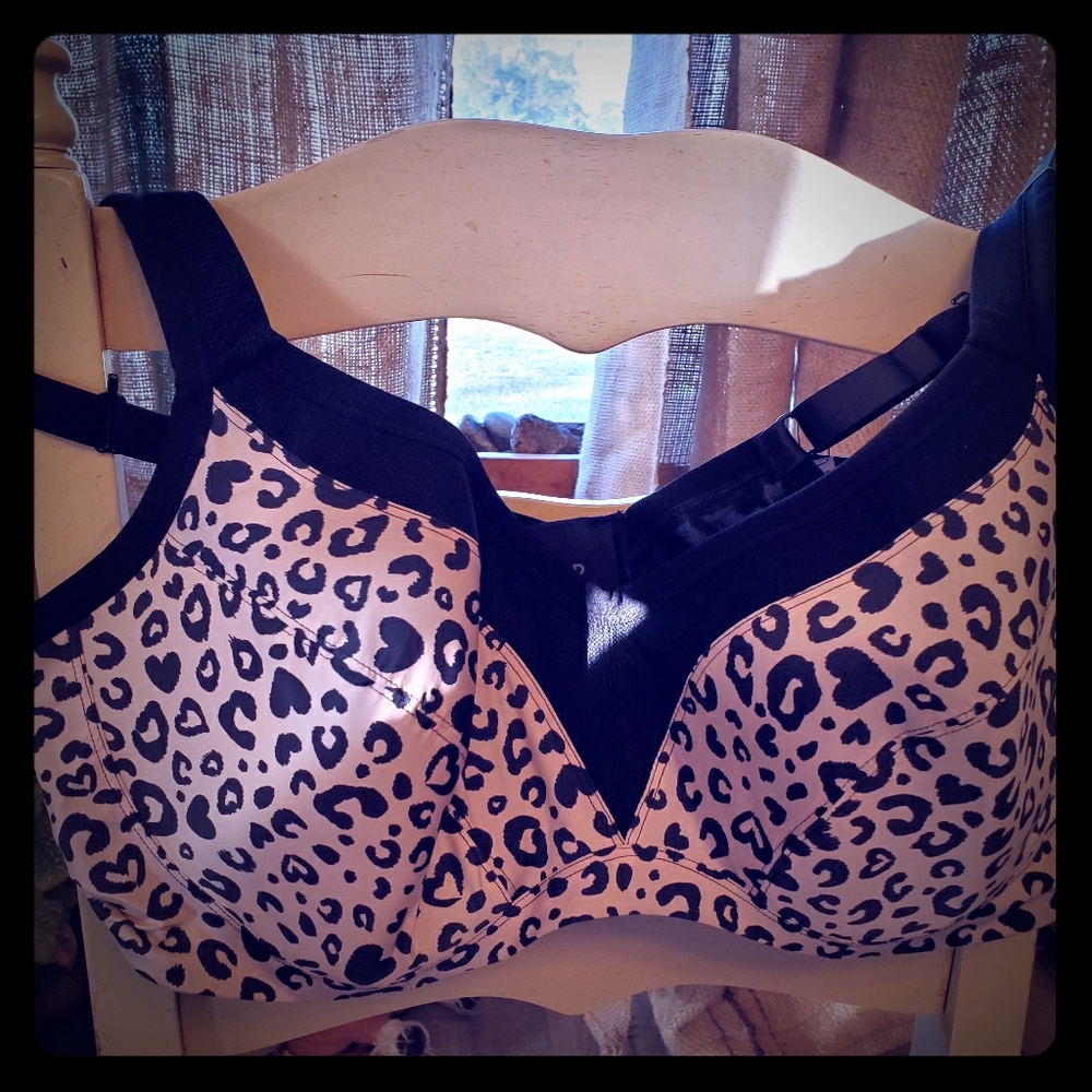 Torrid Sports Bra